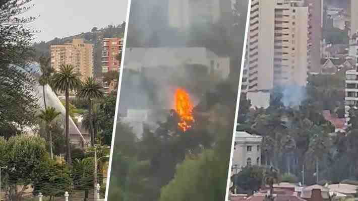 Videos | Tormenta eléctrica provoca incendio de árboles en Vitacura, Viña y Quilpué: No se reportan personas lesionadas