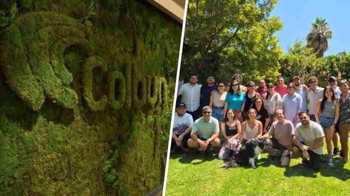 De Colbún a "Optium Energía": Cómo la salida de 40 profesionales dio origen a un nuevo actor del sector eléctrico