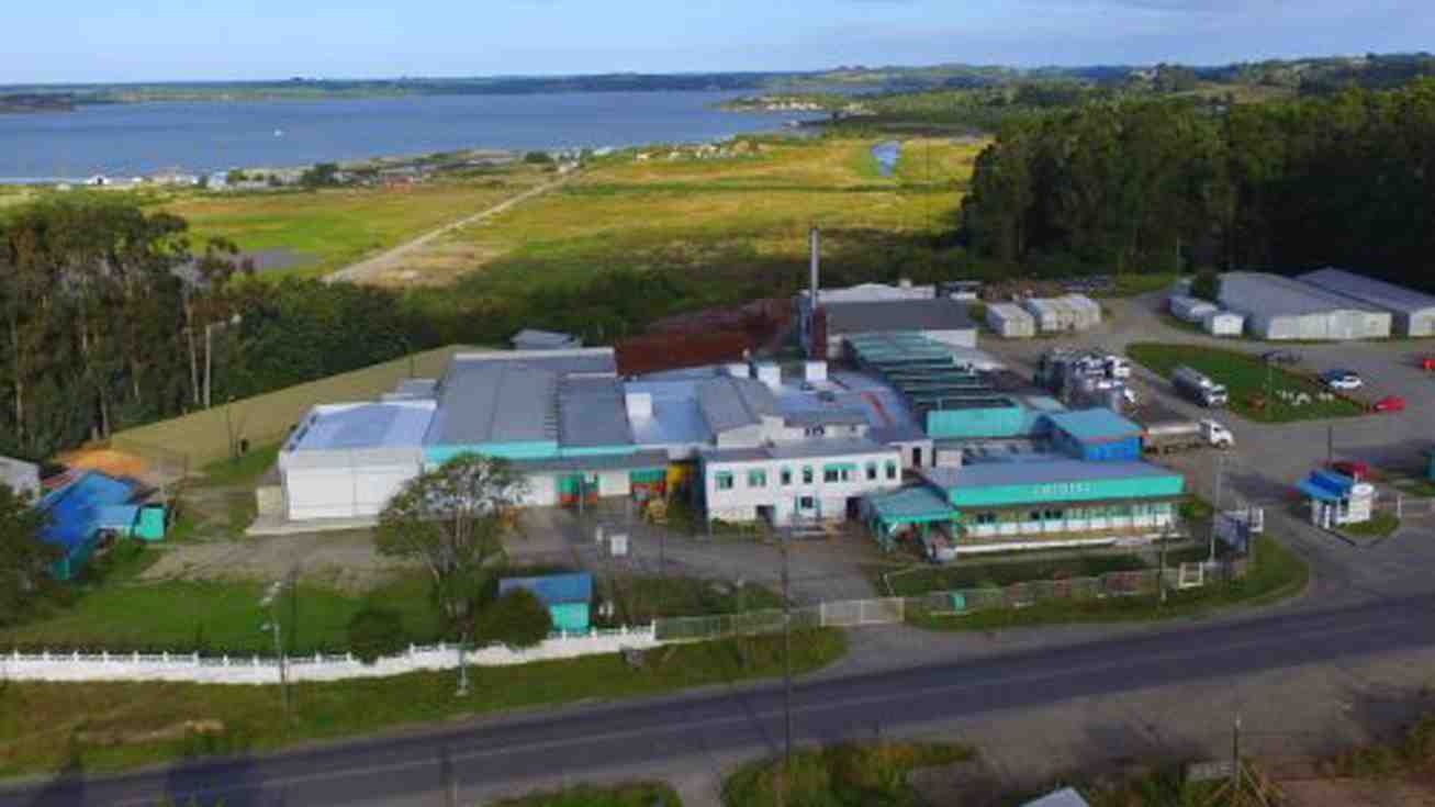 Tras 56 años: Histórica lechera de Chiloé paraliza su planta y deja cientos de puestos de trabajo en riesgo