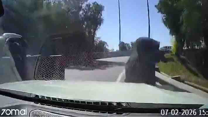 Video: Conductor logra escapar de encerrona y atropella a asaltante en Quilicura