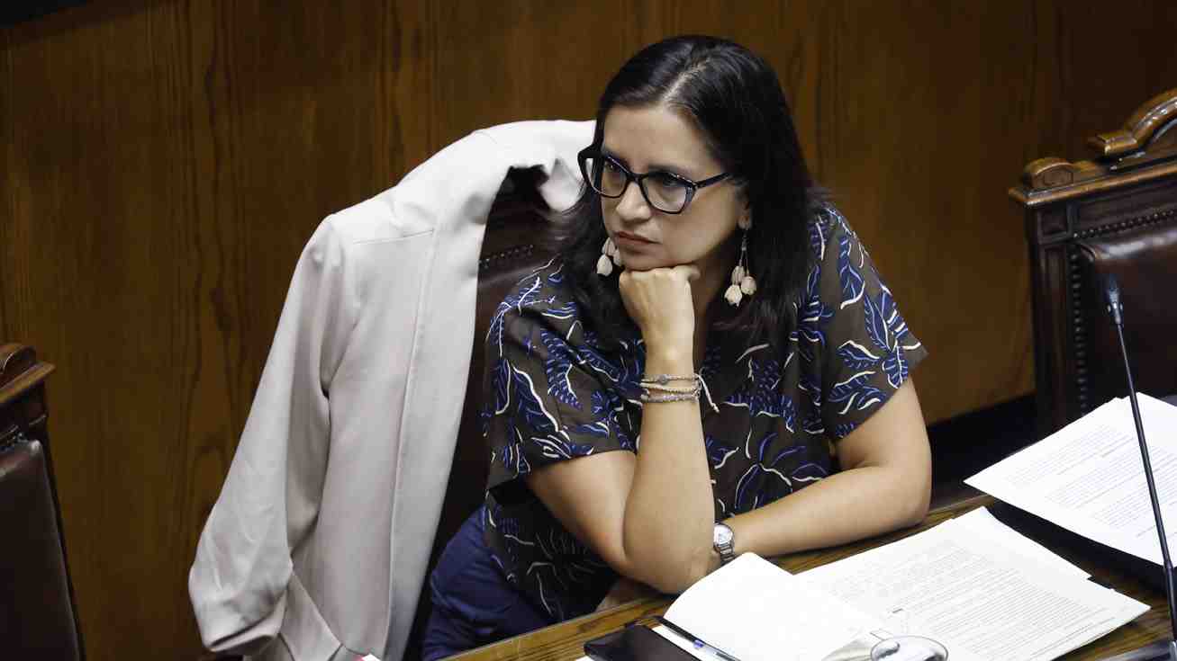 Ministra de Agricultura dice que la industria de la cereza entrará en una etapa de "ajuste" tras otra mala temporada