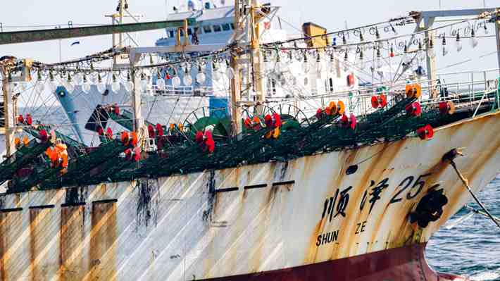 Informe internacional alerta a Chile por sobreexplotación de jibia por parte de embarcaciones chinas