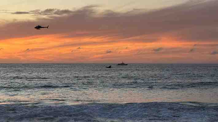 Una abogada, una periodista y dos norteamericanos con más de 12 años en Chile: Las víctimas de tragedia de Algarrobo