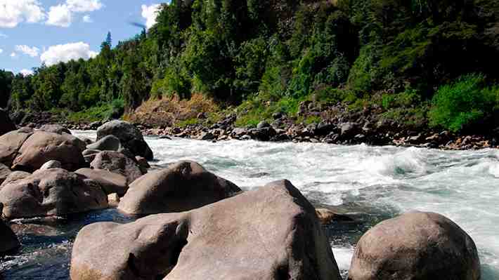 Ministerio del Medio Ambiente resuelve suspender proceso de determinación de sitios prioritarios para la biodiversidad