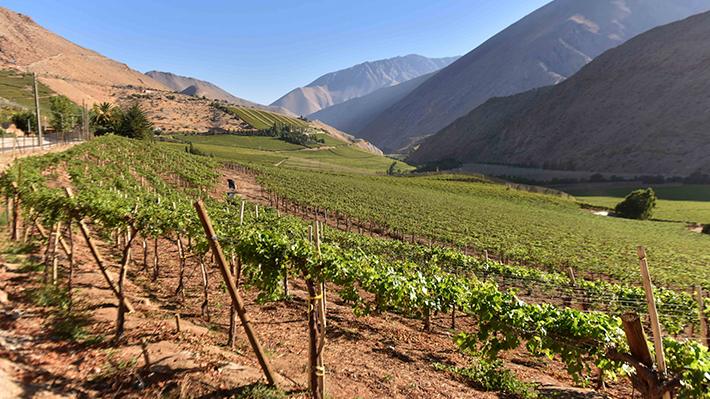 Tras 19 meses estancado: Nuevo Gobierno retomará trámite de ley de parcelaciones rurales