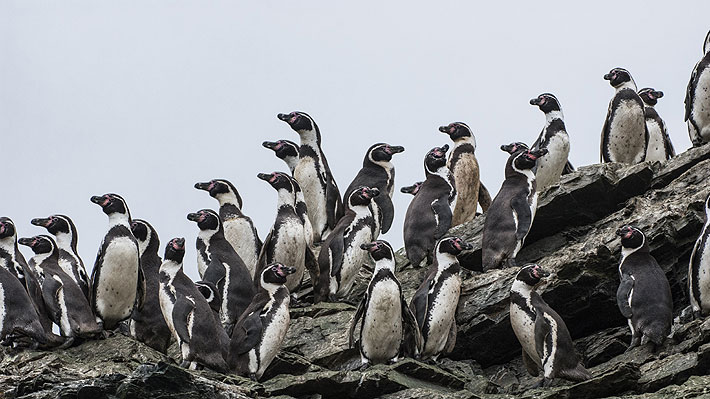 Los 43 decretos medioambientales retirados por el gobierno para ser analizados