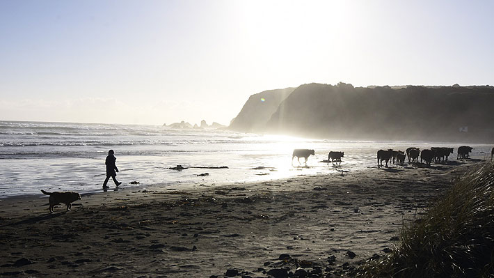 Región de Los Lagos aspira tener igual régimen horario que Magallanes y Aysén