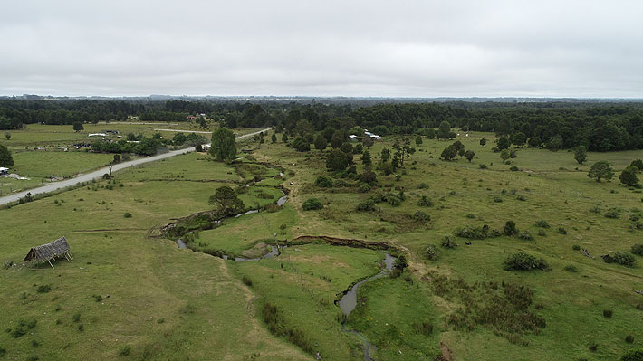 Estudio remece Puerto Montt: Sitio arqueológico Monte Verde sería 6.300 años más reciente
