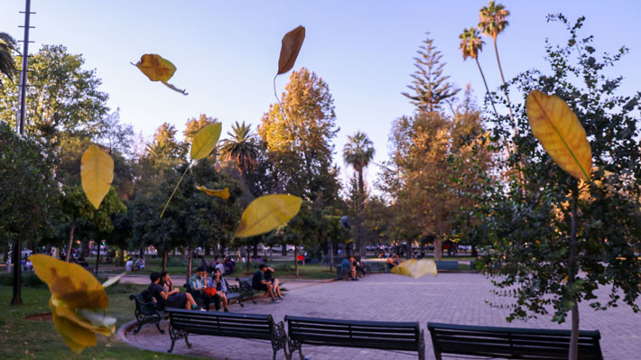 Oficialmente llegó el otoño y vuelven las lluvias: Pronostican arribo de sistema frontal a zona central del país