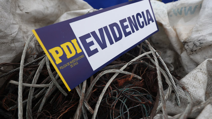 Cable theft has doubled, and Rincón compares it to the timber case: "Until it was confronted (...) there was no change."