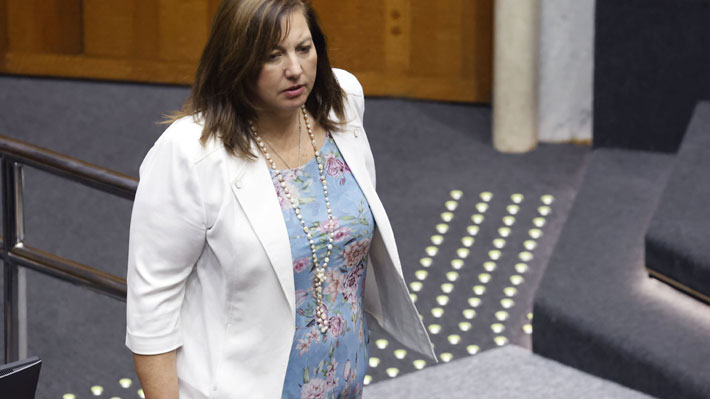 Oposición busca pasar a la ofensiva con iniciativas propias ante anuncios del Gobierno