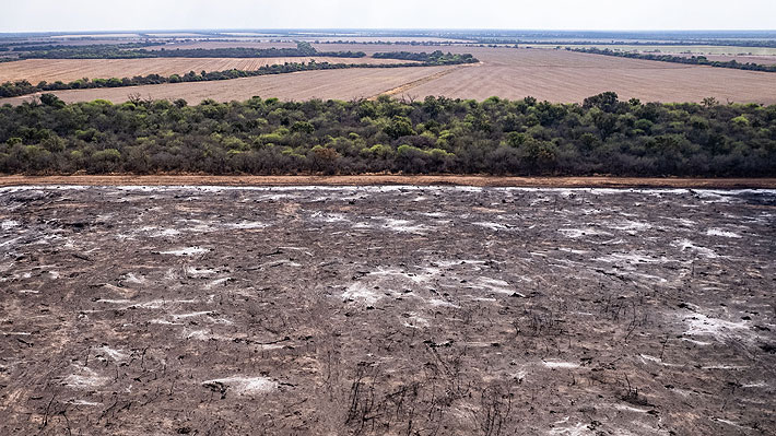 Gobierno argentino anuncia proyecto que permitiría la venta de tierras incendiadas y la compra por parte de extranjeros