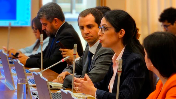 Medio Ambiente reingresa a Contraloría decreto del Plan de Descontaminación del Lago Villarrica