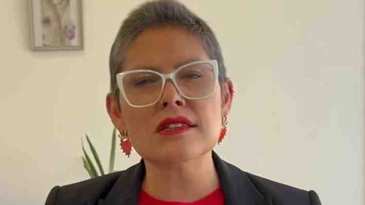 "Deficiencias reiteradas en el servicio": El informe interno que provocó la salida de Carrasco del SernamEG