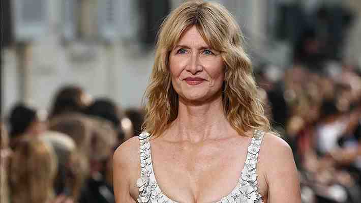 Laura Dern protagonizará miniserie sobre la investigación que destapó el caso Epstein
