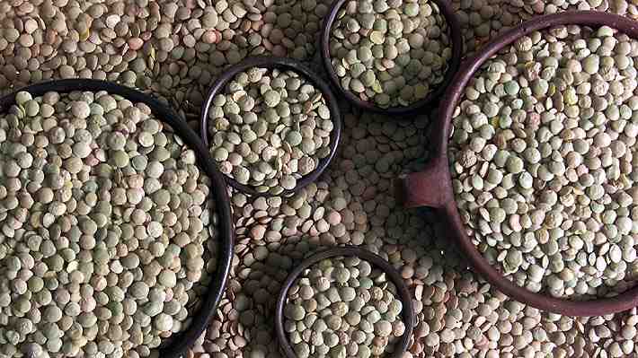 Actualizan guía para gozar de una buena salud cardiovascular: Conoce las nueve medidas que hay que seguir para lograrlo