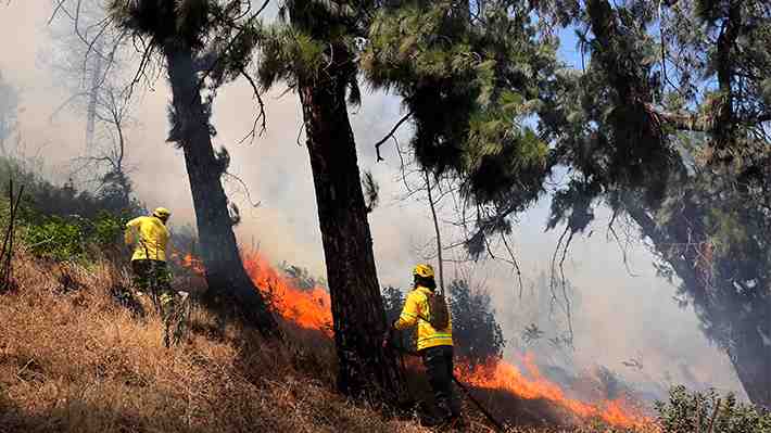 Declaran alerta roja para San José de Maipo por incendio forestal cercano a sectores poblados