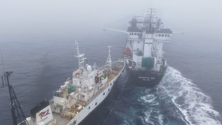 El incidente en la Antártica que salpicó a Chile: Buque ambientalista chocó deliberadamente a pesquero noruego