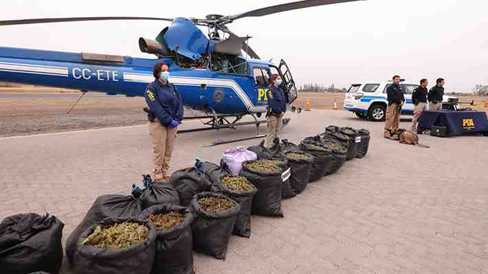 Plan Cannabis 2026: PDI saca de circulación más de 58 millones de dosis de droga