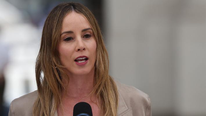 Sedini se excusa de comisión de Cultura por choque de agenda en medio de discusión por reforma a TVN