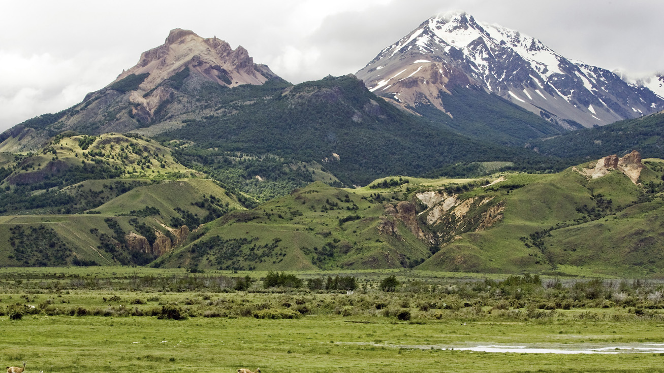 Codelco, Sofofa y salmoneros: Reglamento para áreas protegidas presentado por Boric se llena de observaciones