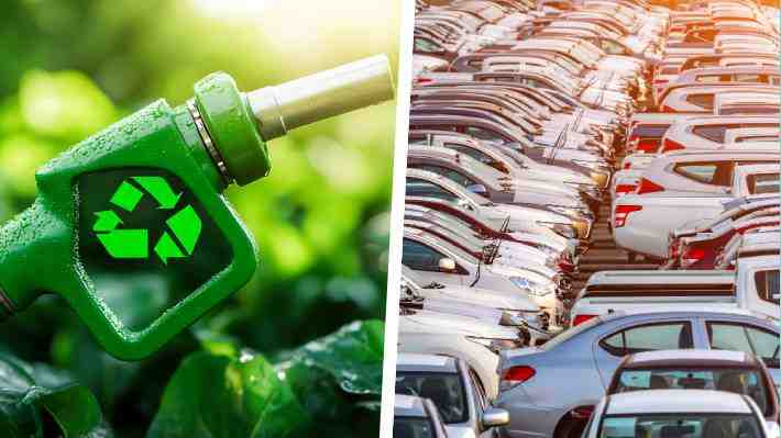 Alemania mira a Brasil: biocombustibles ganan terreno en la carrera por la transición energética