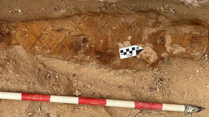 Arqueólogos encuentran un papiro con fragmento de la "Ilíada" de Homero sobre abdomen de momia de hace unos 1.600 años