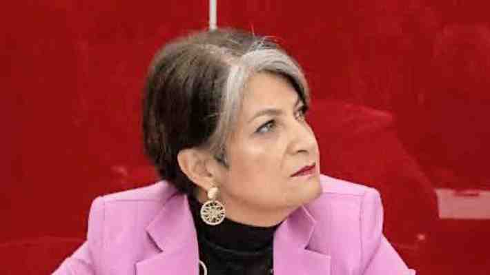 Contraloría indaga traslado aeromédico de hijo de directora (s) de Hospital de Coyhaique