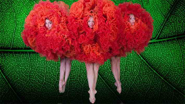 Momix reestrena su espectáculo "Botanica" y lo trae a Chile: Un show visual y musical imperdible para toda la familia
