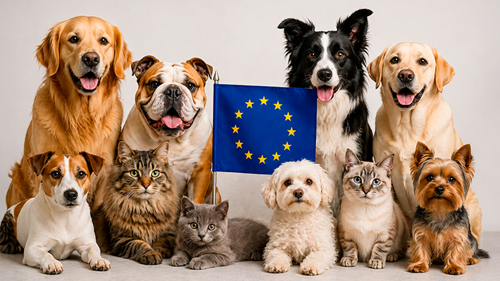 Microchip obligatorio y prohibiciones: Cómo es la primera ley para proteger perros y gatos en la UE