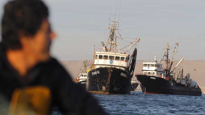 Parlamentarios se dividen por decisión del Gobierno de desechar Ley de Pesca de Boric: "Se generan vacíos preocupantes”