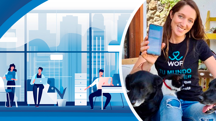 Wof: La app chilena que busca dar tranquilidad a dueños de perros con una red de paseadores validados
