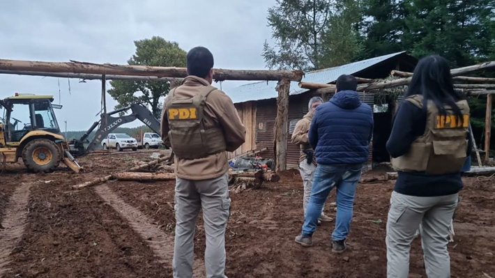 Talaron más de 40 árboles: Detienen a dos sujetos por usurpación de predio forestal en Mariquina