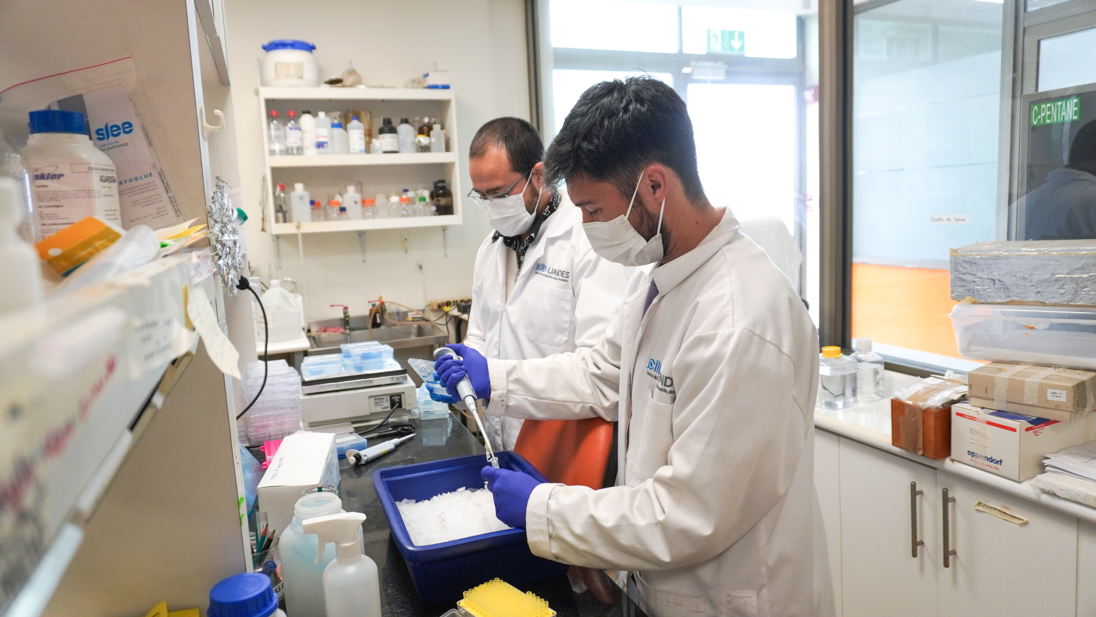 "Un problema crónico": Las deudas del Estado con la ciencia y el complejo "acomodo" del ministerio