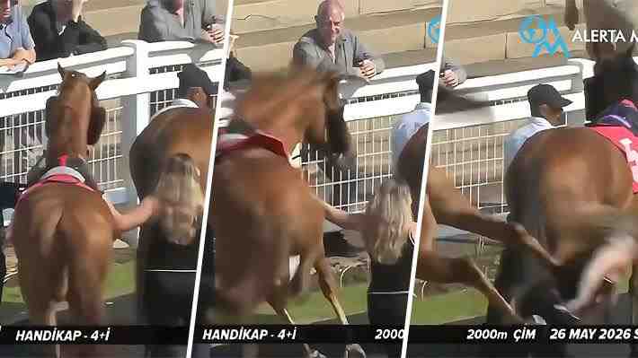 Video | Mujer recibe brutal patada de un caballo en hipódromo de Reino Unido: Animal la golpeó con sus patas traseras