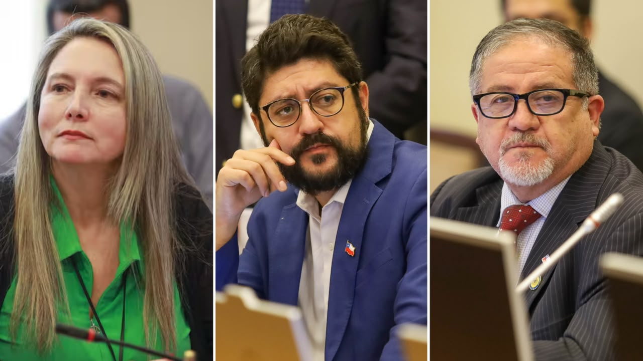 Diputados oficialistas exigen que Contraloría audite polémico concurso público que dejó en el cargo a asesora de Eldestein
