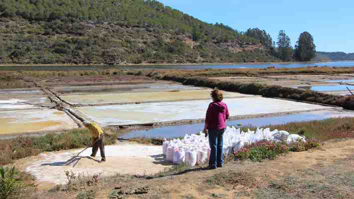 "Pérdidas millonarias": La histórica sal de Cáhuil agoniza con producción casi "en cero"