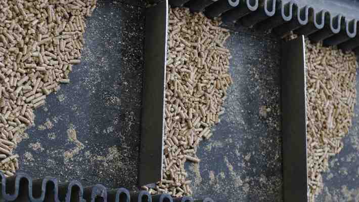Ruido de escasez: Encontrar pellet en el sur es cada vez más difícil y la industria entrega su diagnóstico