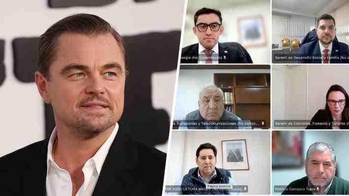 Comisión de Evaluación Ambiental del Maule rechaza proyecto eléctrico vinculado a alerta de DiCaprio