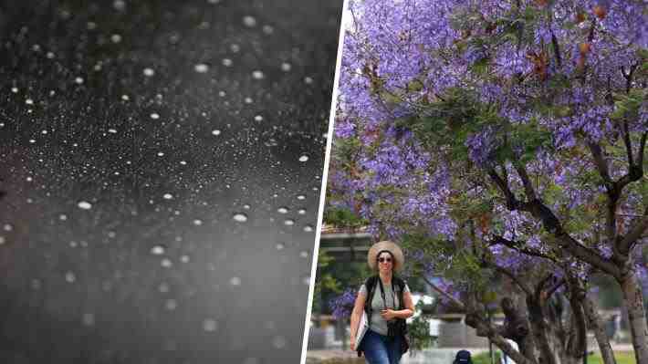 ¿Siguen las lluvias?: El pronóstico de Meteorología de cara al inicio de septiembre y la primavera