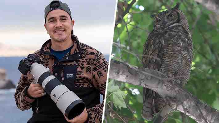Foto | Chileno gana premio en prestigioso concurso de retratos de aves con la imagen de un esquivo tucúquere