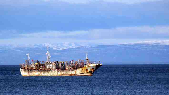 Armada detecta 21 buques pesqueros chinos operando cerca de Rapa Nui: Buscan principalmente jibia