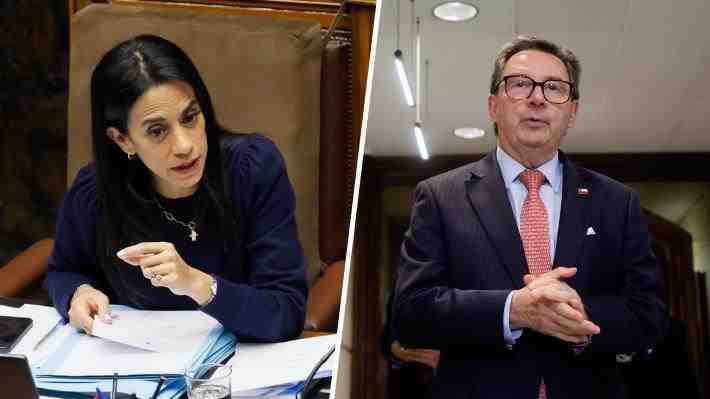 Respuesta de ministro de Defensa a crítica de senadora Núñez desata molestia de RN