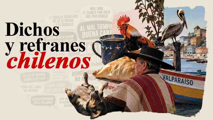 Trivia dieciochera "pa' pegarse el alcachofazo": ¿Cuánto sabes de los dichos y refranes populares chilenos?