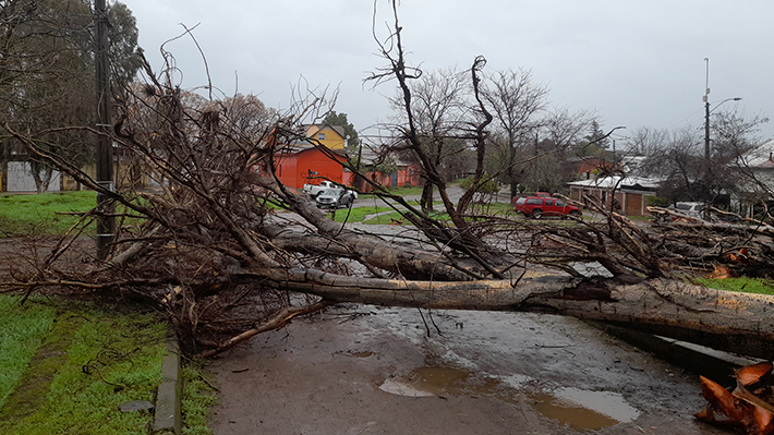 Senapred reportó daños por viento en Longaví y mantuvo la alerta preventiva en Maule