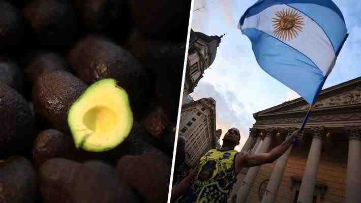 El creciente apetito argentino por la palta chilena