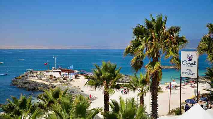 Se venden terrenos fiscales en Bahía Inglesa: El plan para potenciar el "Caribe chileno" que entusiasma al turismo