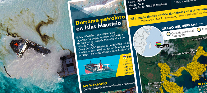 MEDIO AMBIENTE: Cómo ocurrió el desastre petrolero en Mauricio