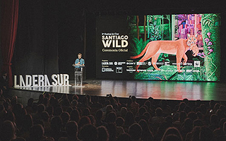 Festival Santiago Wild revela sus ganadores: Últimos días para poder ver las películas en formato online