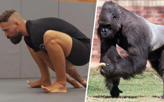 &#34;Caminata del gorila&#34;, el ejercicio que gana popularidad y mejora la fuerza y el equilibrio: Aprende a practicarlo